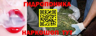 стаф Краснознаменск