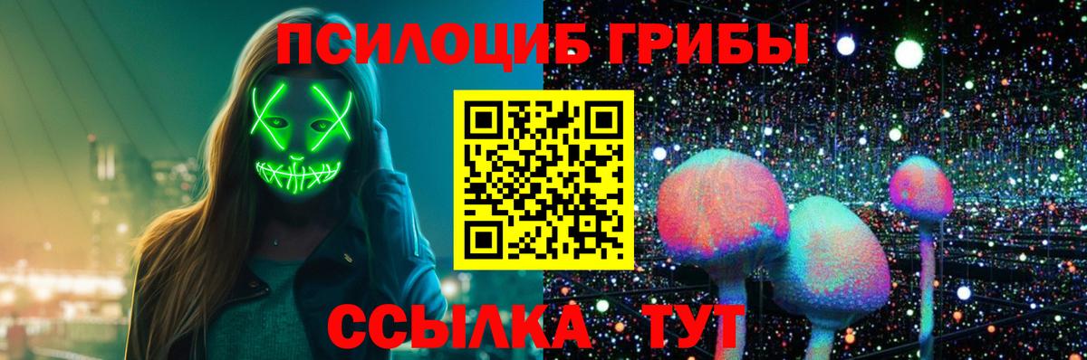Галлюциногенные грибы Psilocybe  Старая Русса 