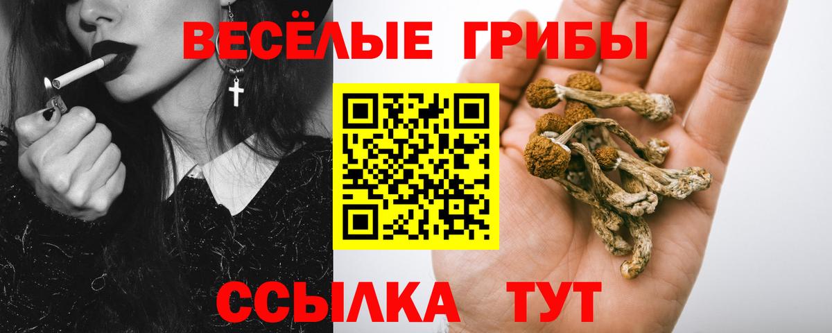 Галлюциногенные грибы MAGIC MUSHROOMS Старая Русса