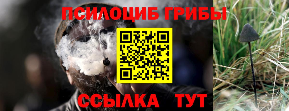 продажа наркотиков  Псилоцибиновые грибы GOLDEN TEACHER  Псилоцибиновые грибы ЛСД  Вход с VPN  Старая Русса 