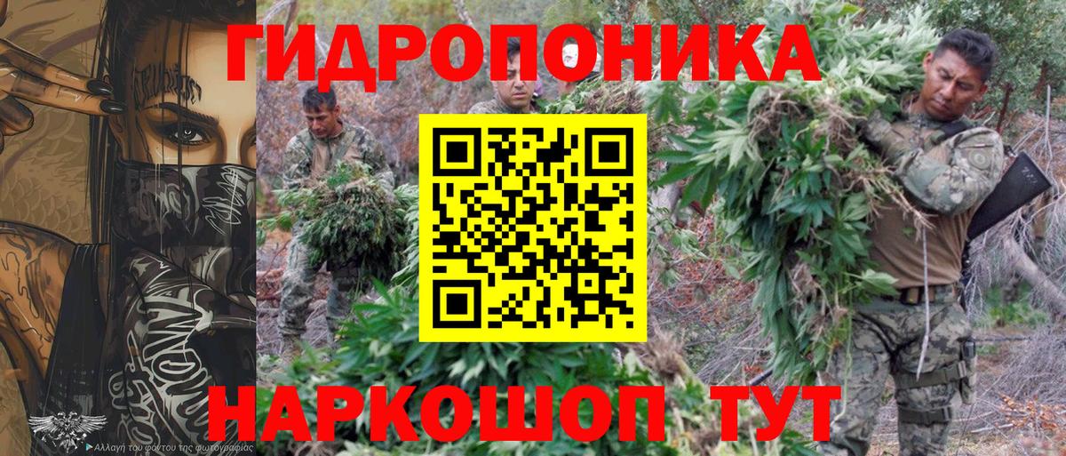 Конопля Bruce Banner Старая Русса